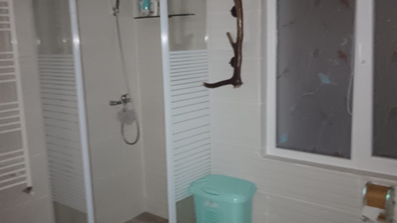 Photo of Bathroom in Motru