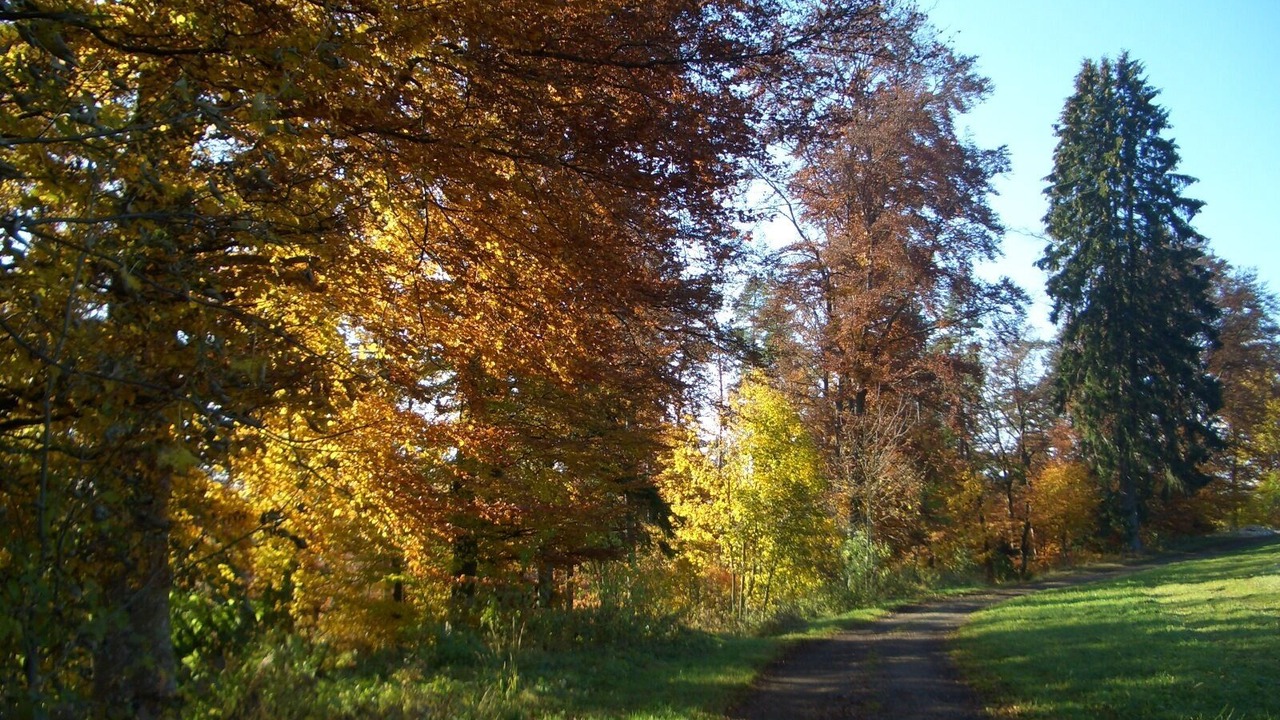 Photo of Others in Gemarkung Oberdigisheim