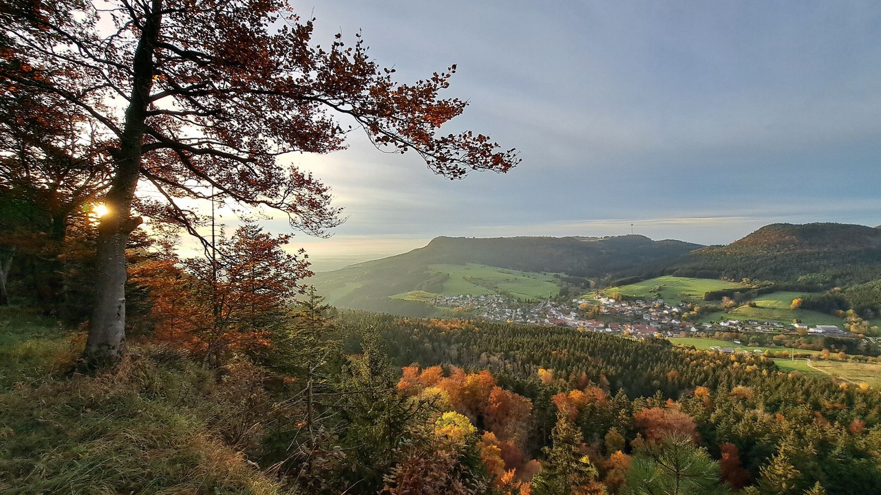 Photo of Others in Gemarkung Oberdigisheim