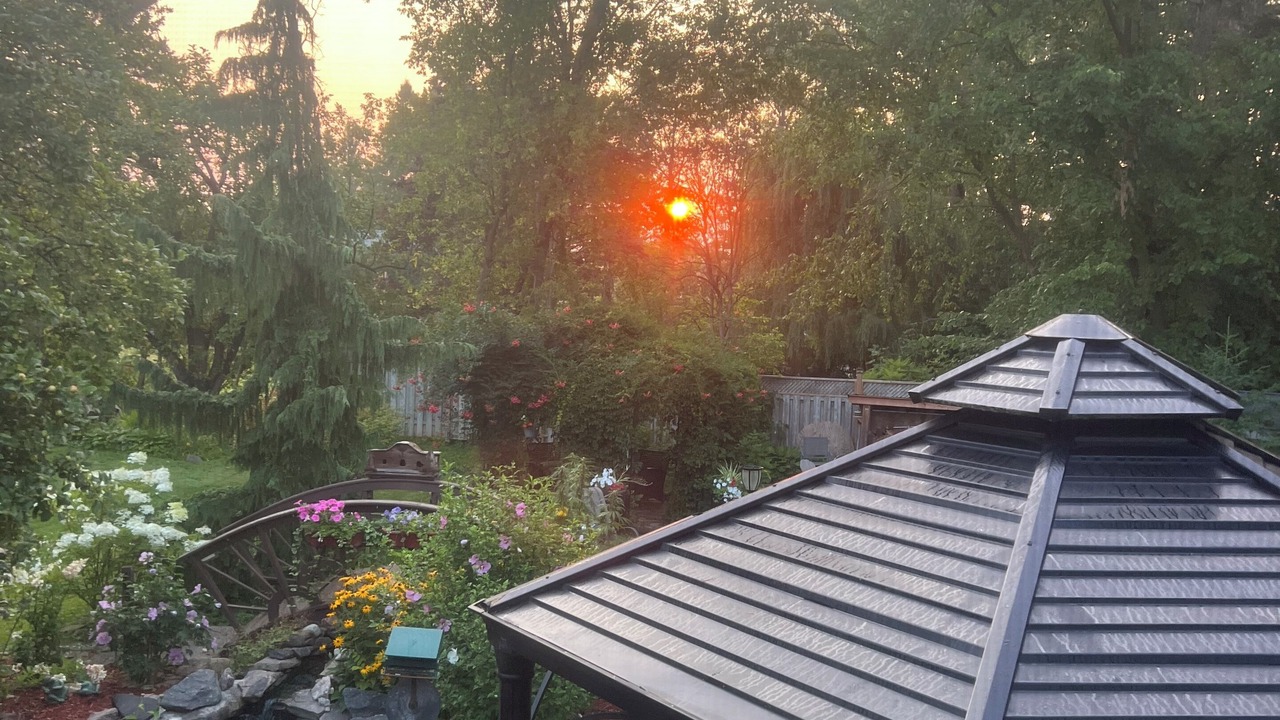 Photo of Outdoor in Alcona