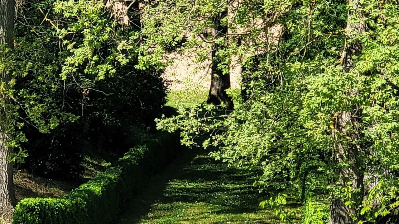 Photo of Outdoor in Fenouillet-du-Razes