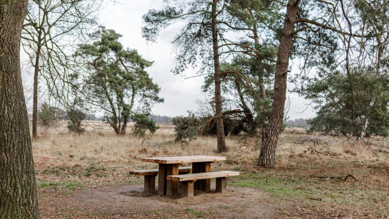 Photo of Others in Leende