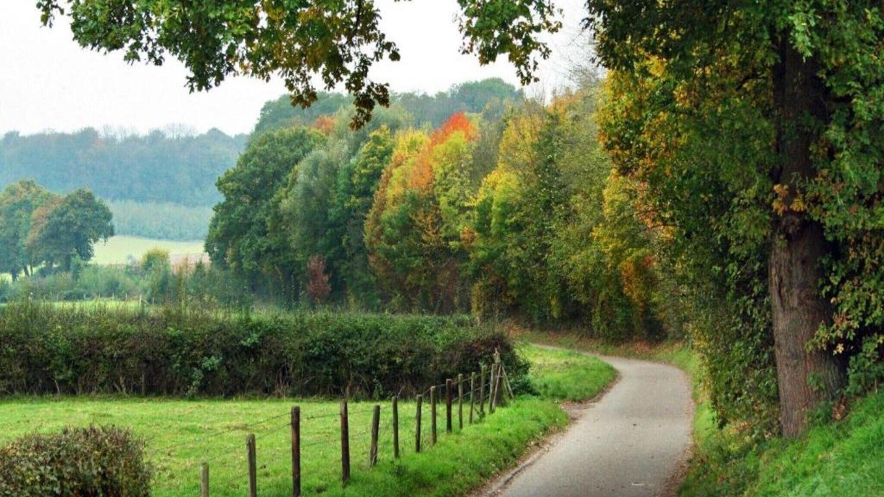 Photo of Others in Leende