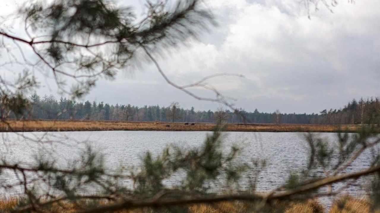 Photo of Others in Leende