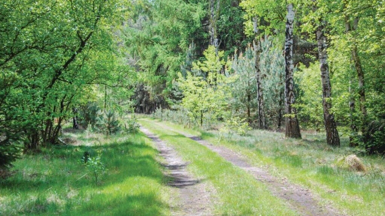 Photo of Others in Leende