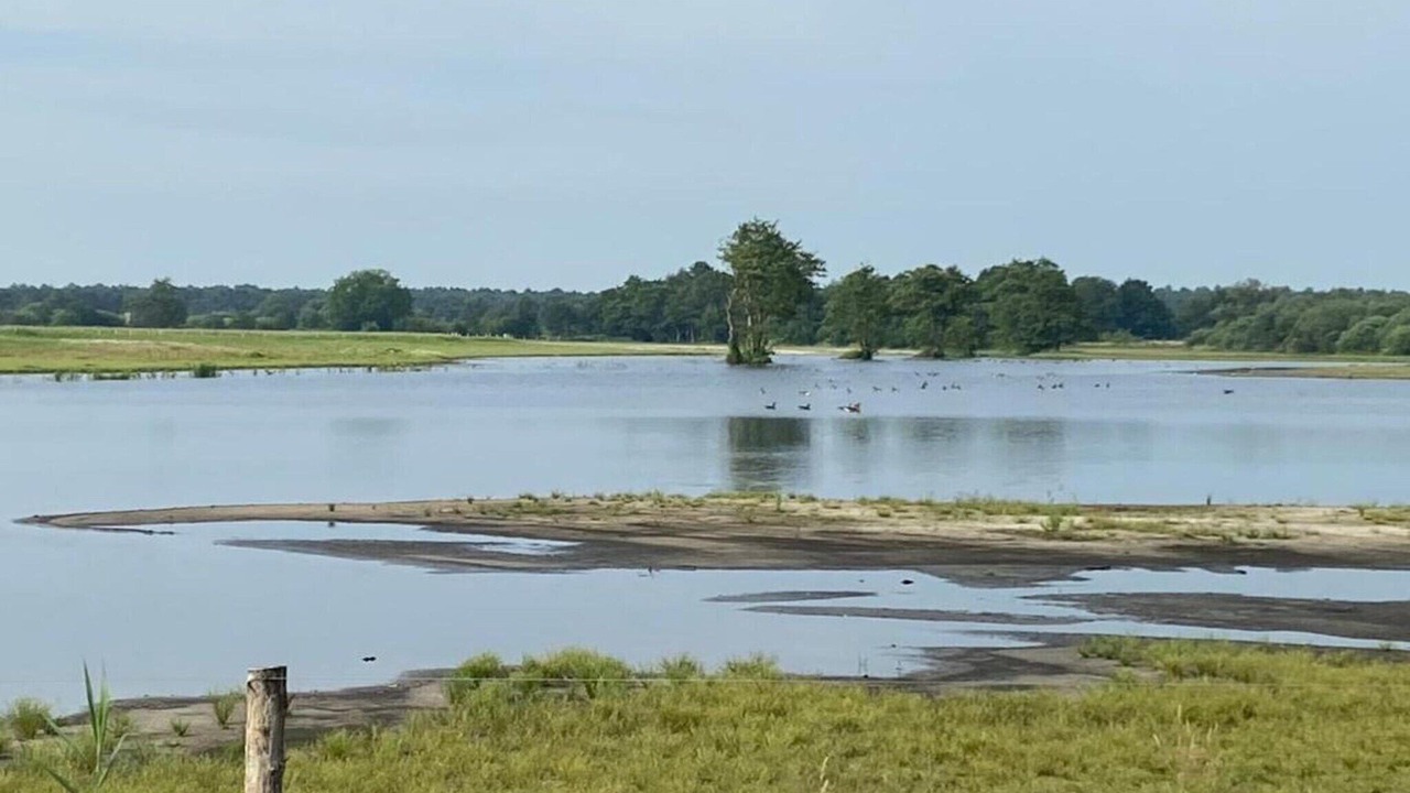 Photo of Others in Leende