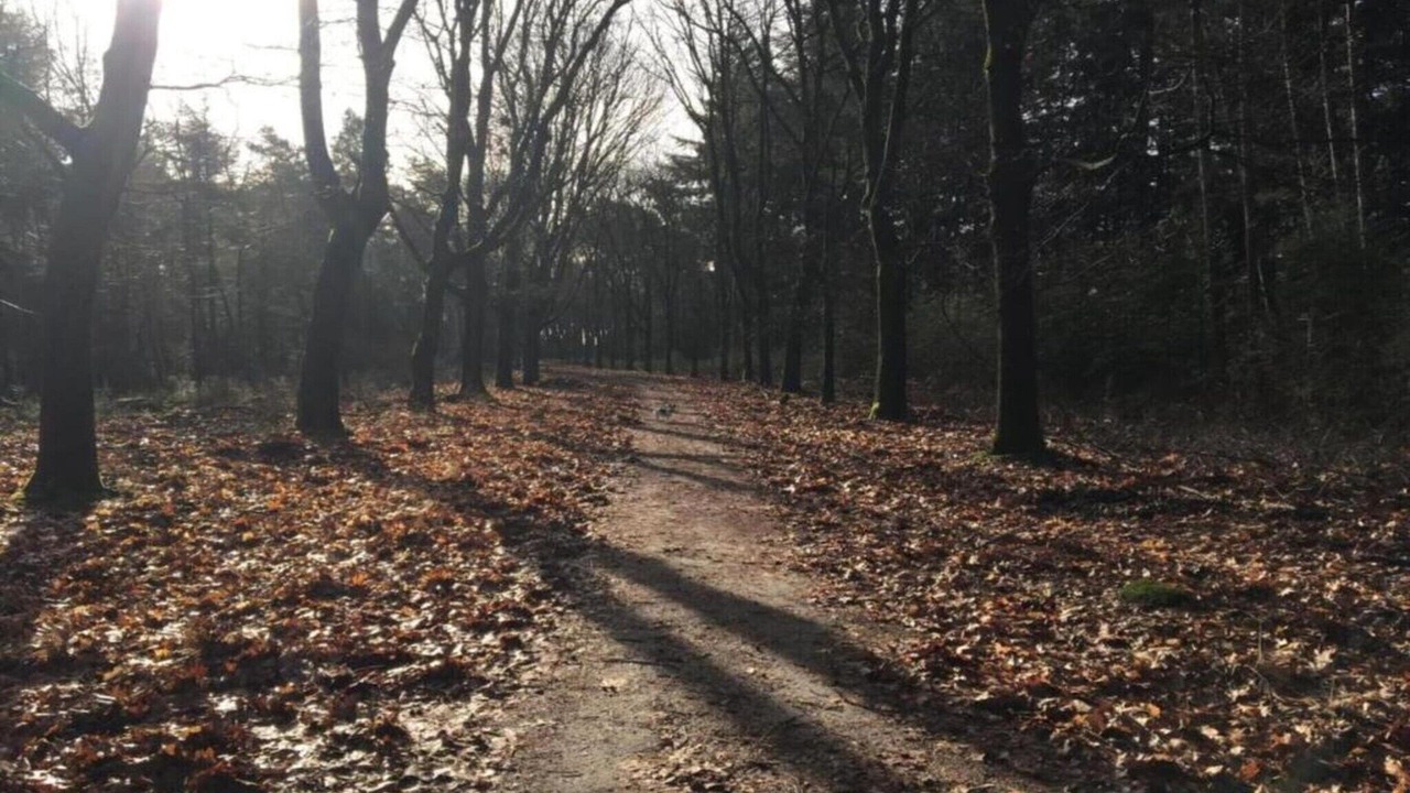 Photo of Others in Leende