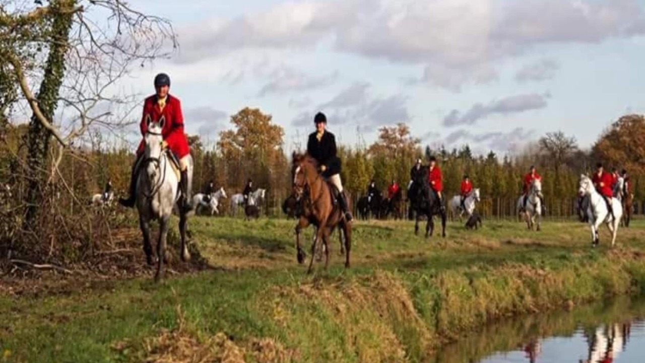 Photo of Others in Udenhout