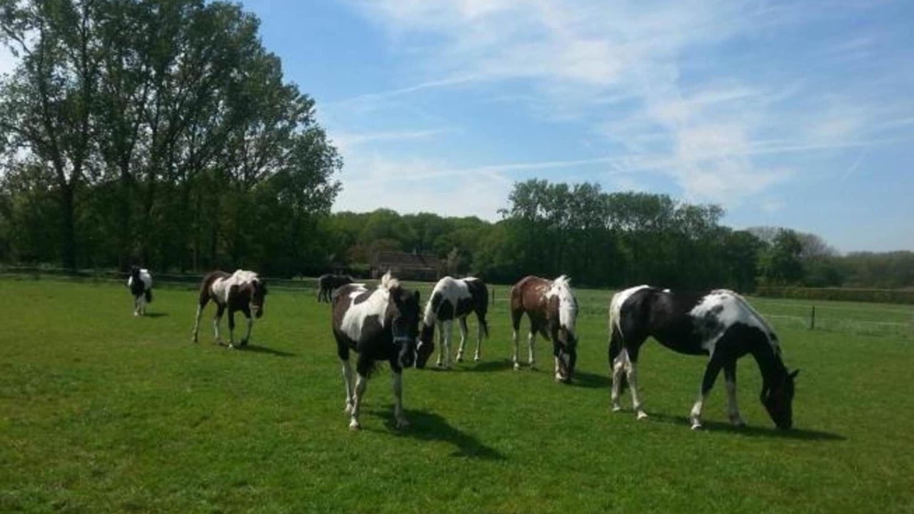 Photo of Others in Udenhout