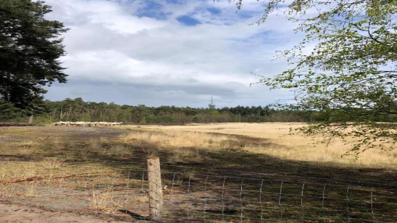 Photo of Others in Municipality of Geldrop-Mierlo