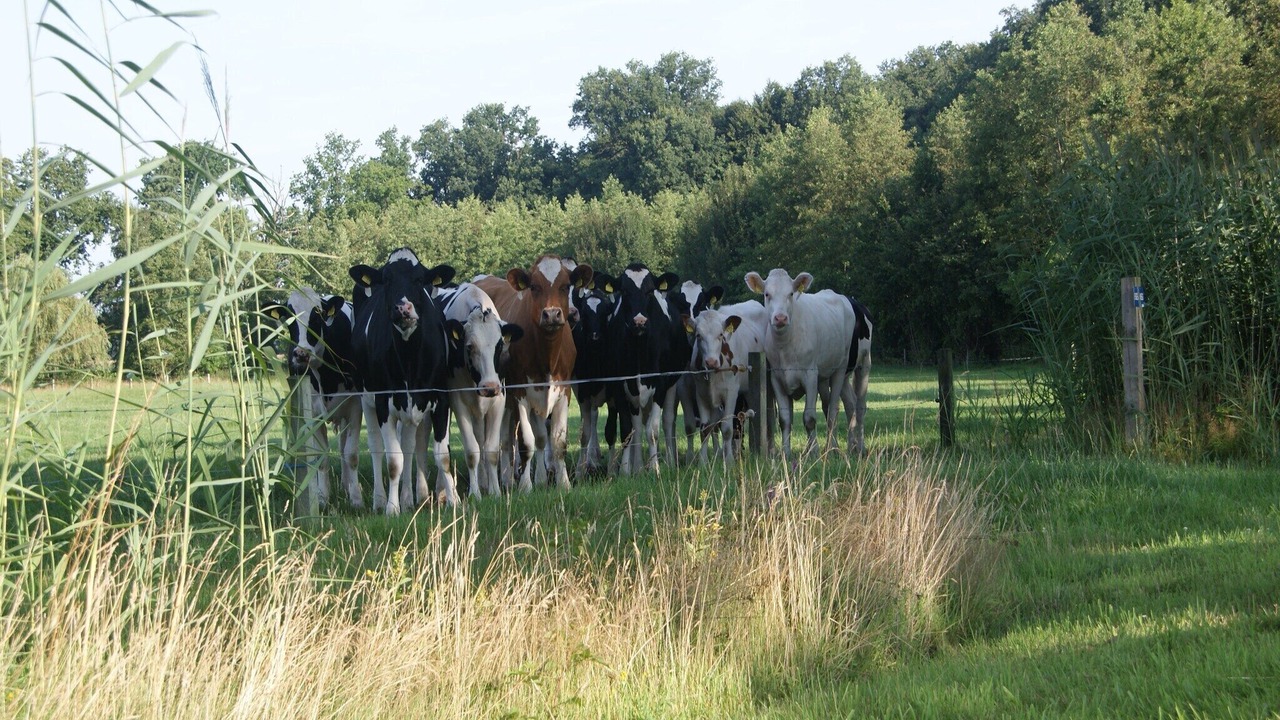 Photo of Others in Municipality of Haaksbergen