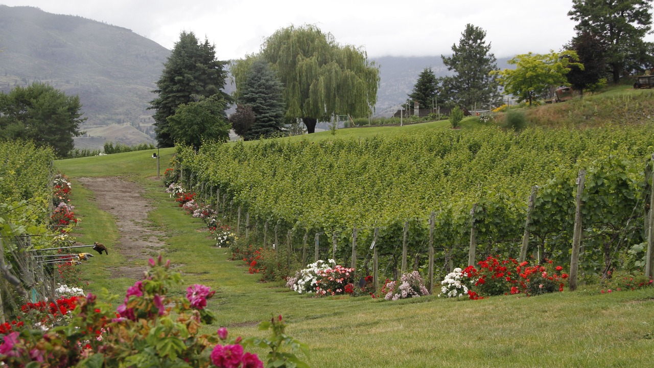 Photo of Others in Okanagan-Similkameen