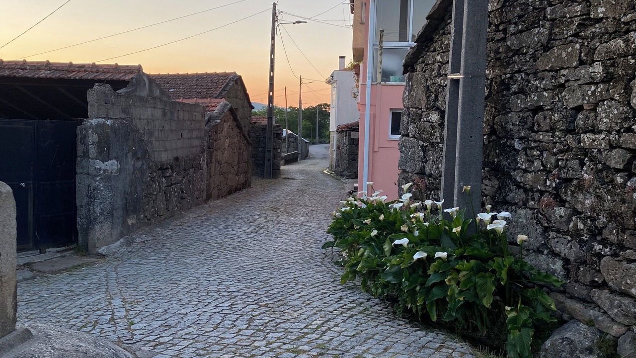Photo of Outdoor in Castro Daire