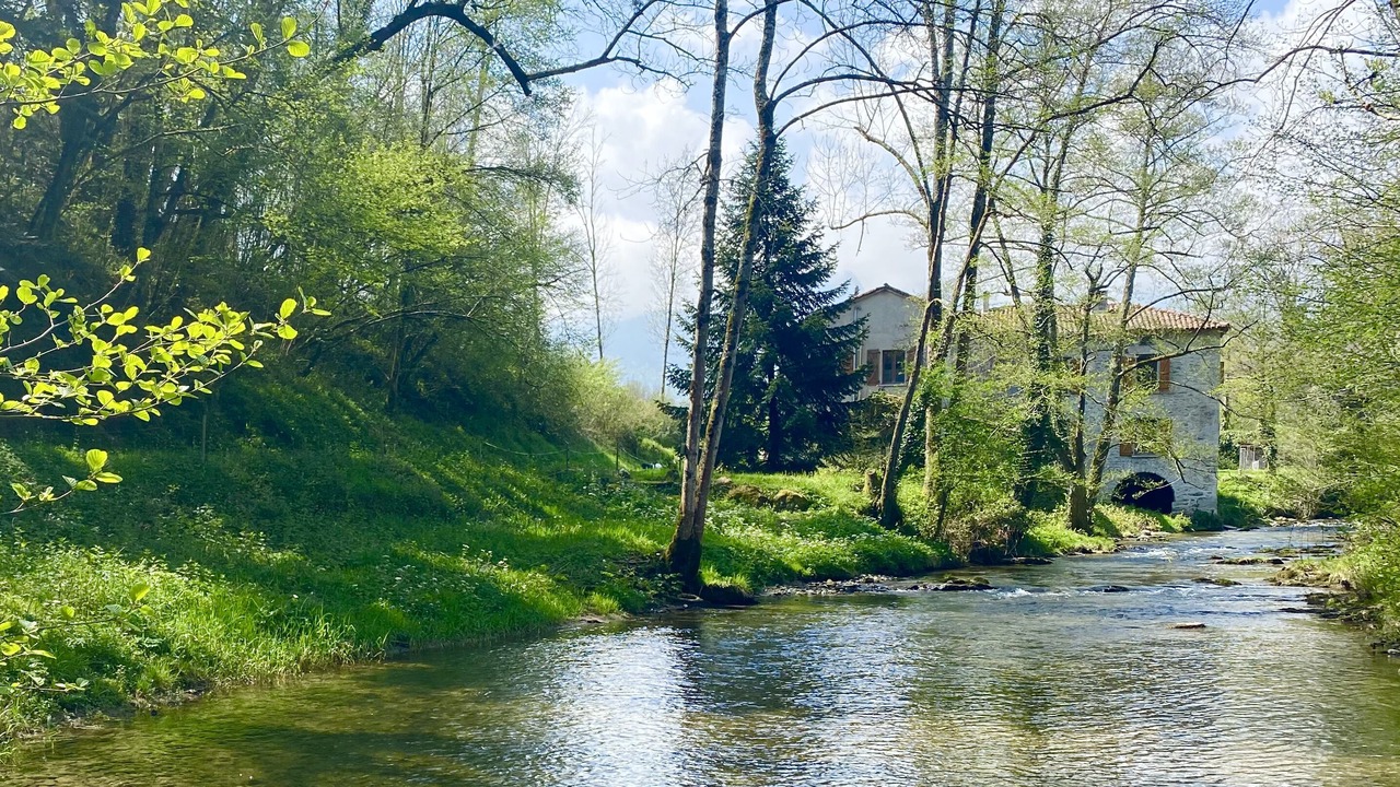 Photo of Others in Montastruc-de-Salies