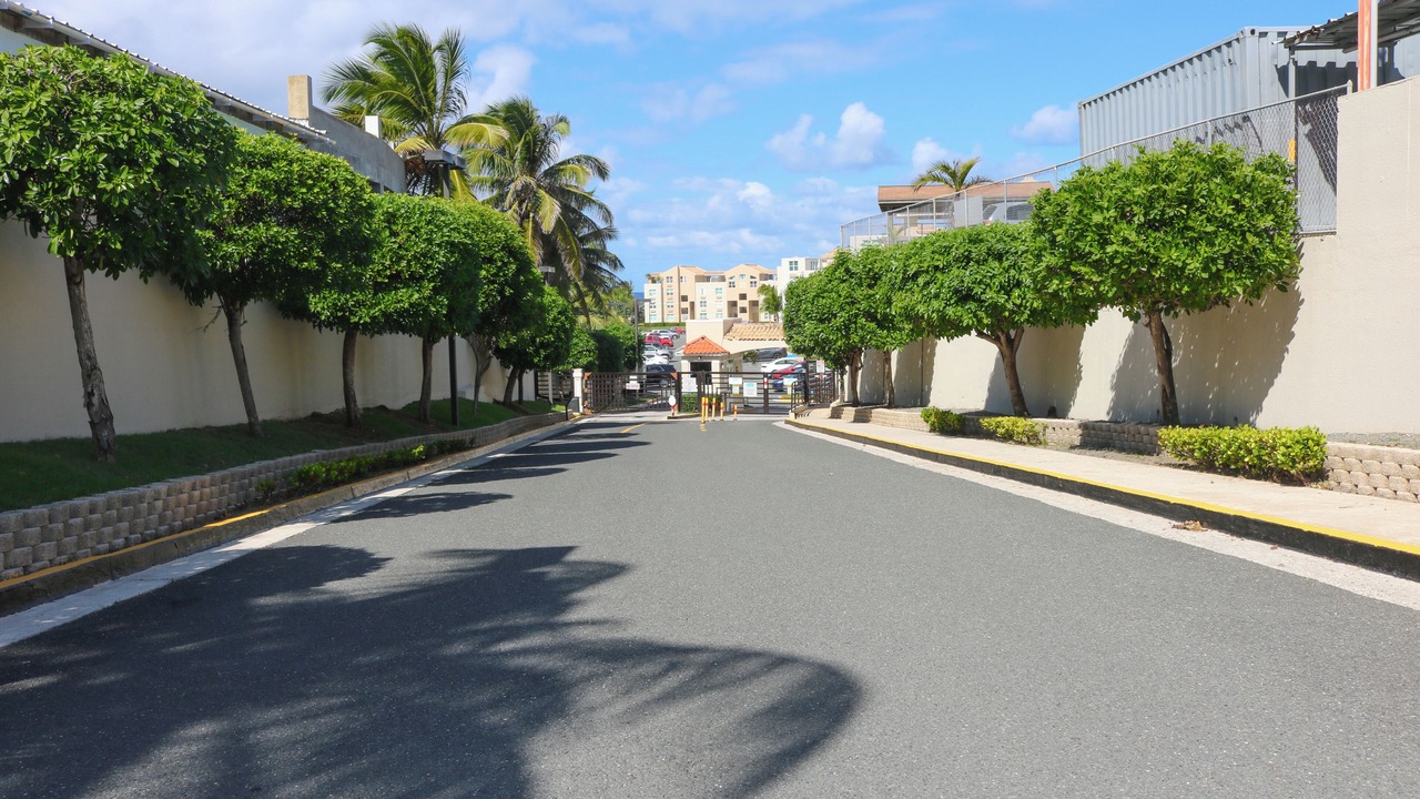 Photo of Others in Puerto Rico