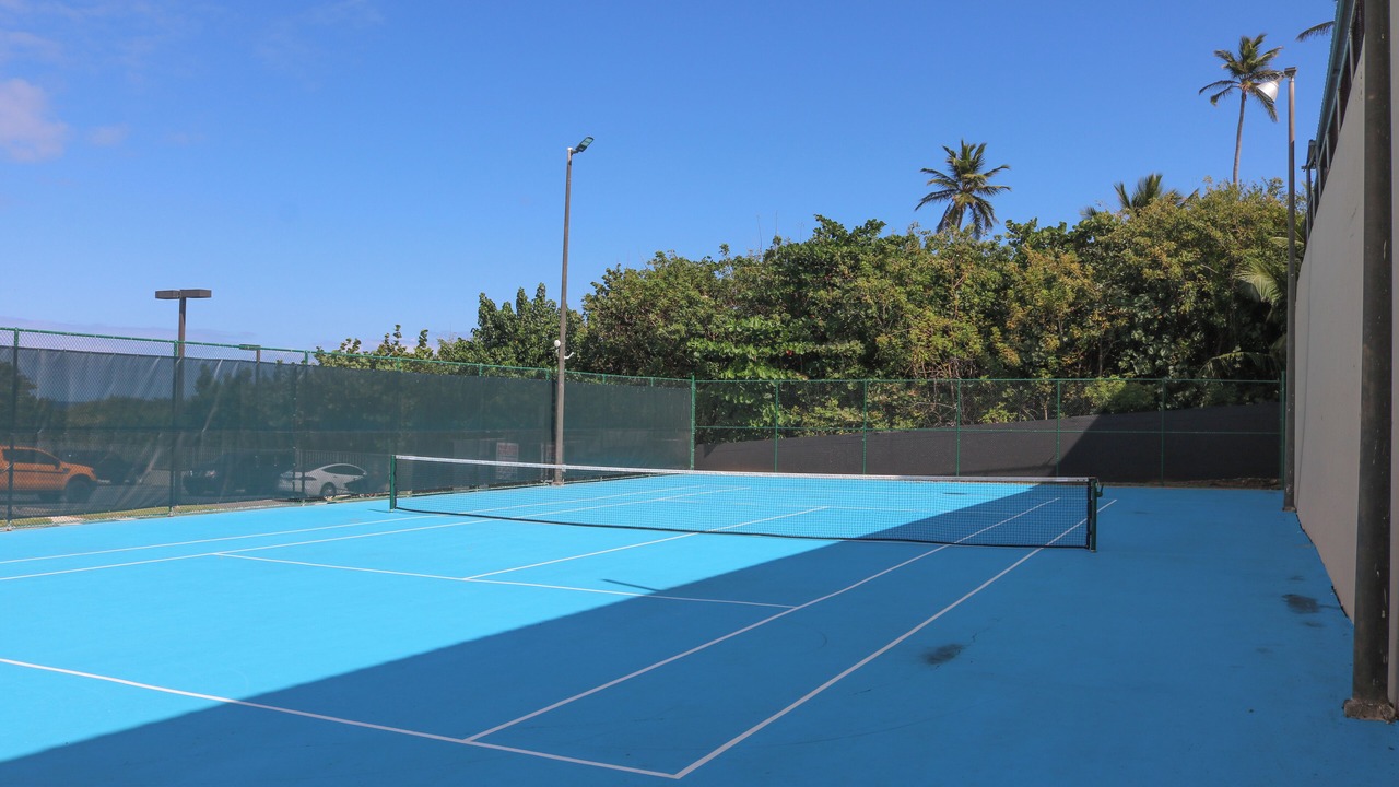 Photo of Others in Puerto Rico