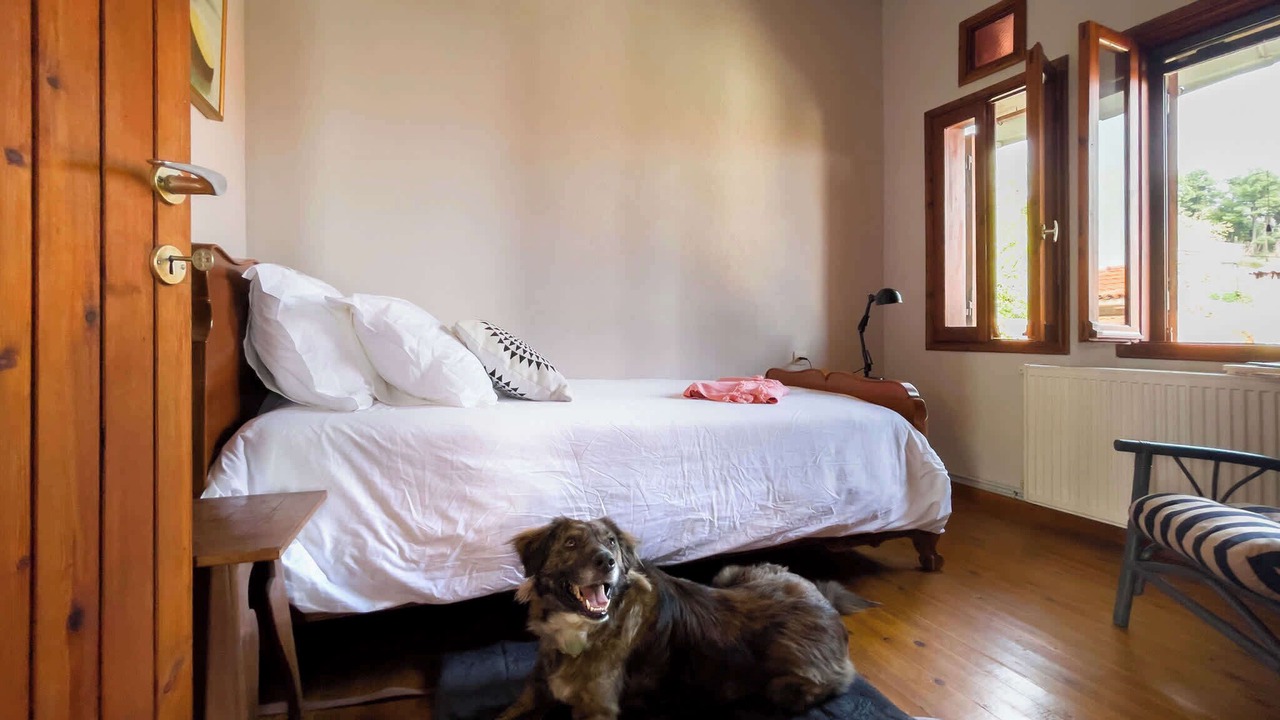 Photo of Bedroom in Milies