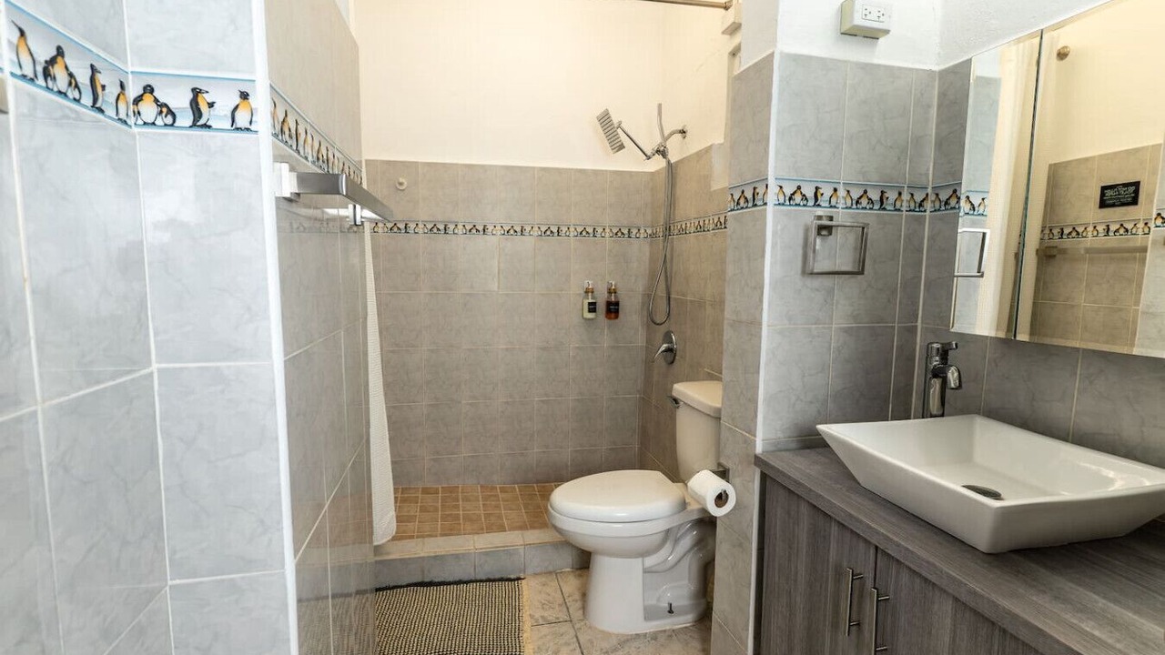 Photo of Bathroom in Aguadilla Pueblo