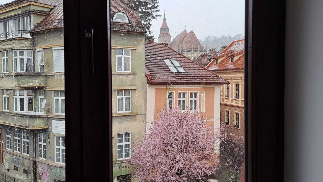 Photo of Others in Brasov City Centre