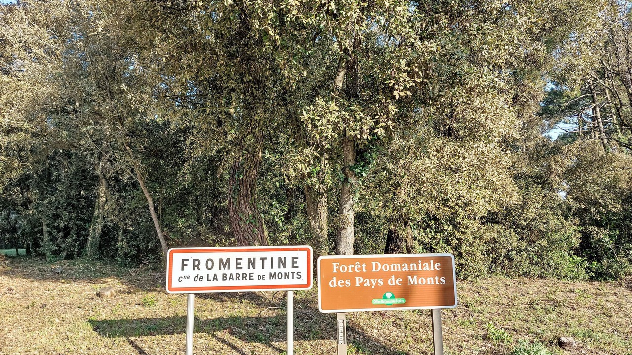 Photo of Others in Fromentine