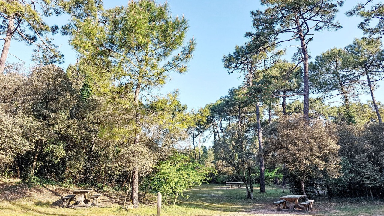 Photo of Others in Fromentine
