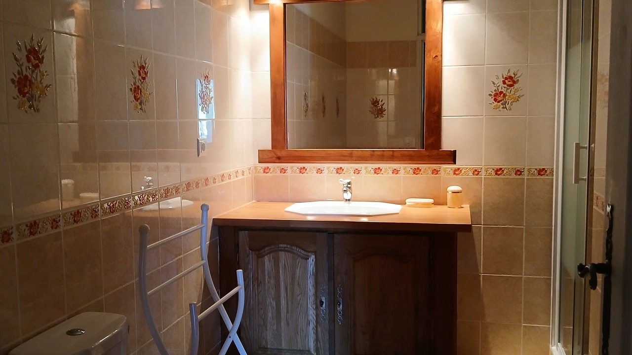 Photo of Bathroom in Daumazan-sur-Arize