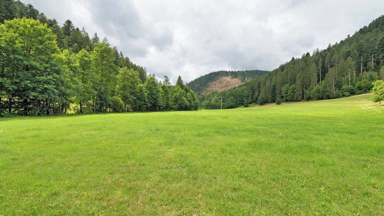 Photo of Others in Ehlenbogen