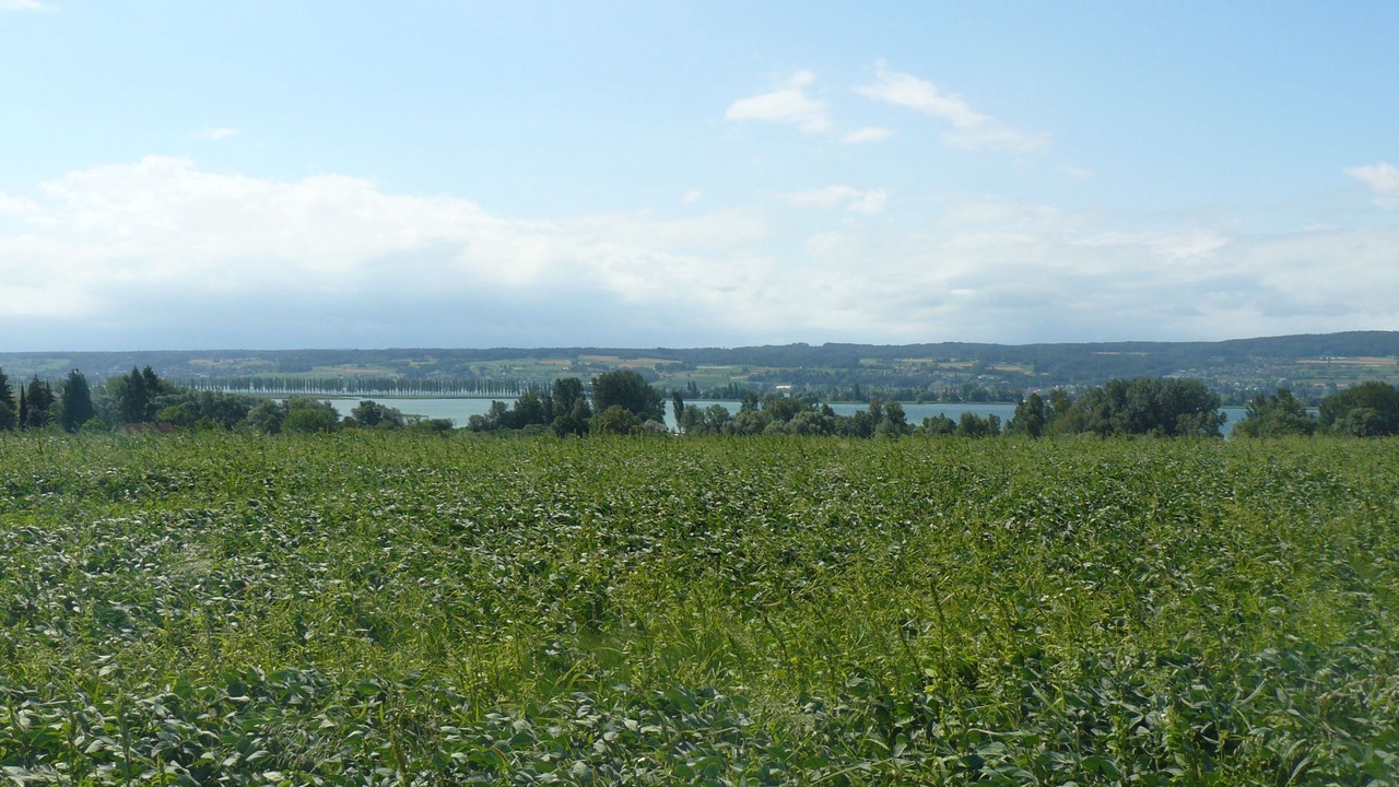 Photo of Others in Allensbach