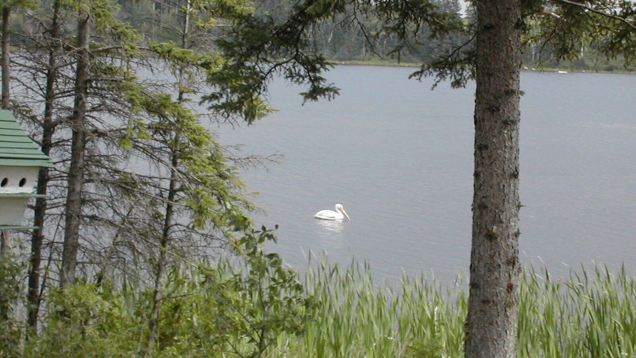 Photo of Others in West Central Saskatchewan