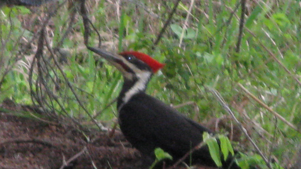 Photo of Others in West Central Saskatchewan