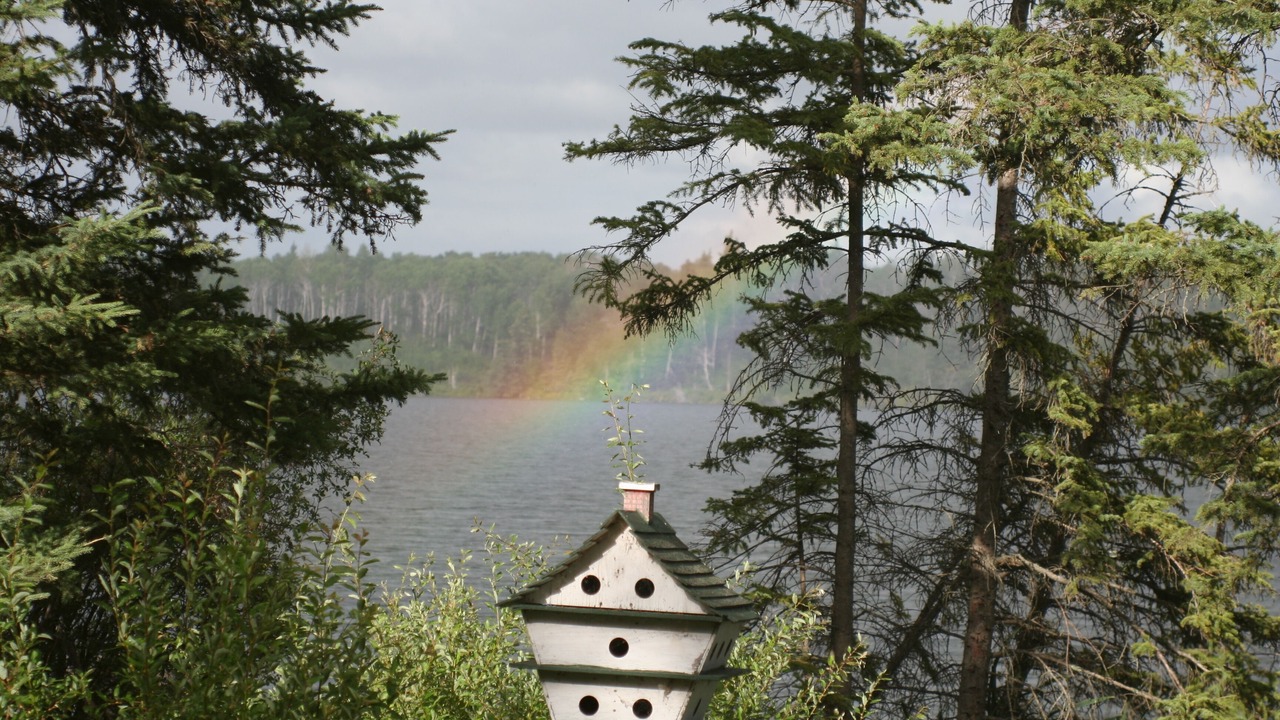 Photo of Others in West Central Saskatchewan