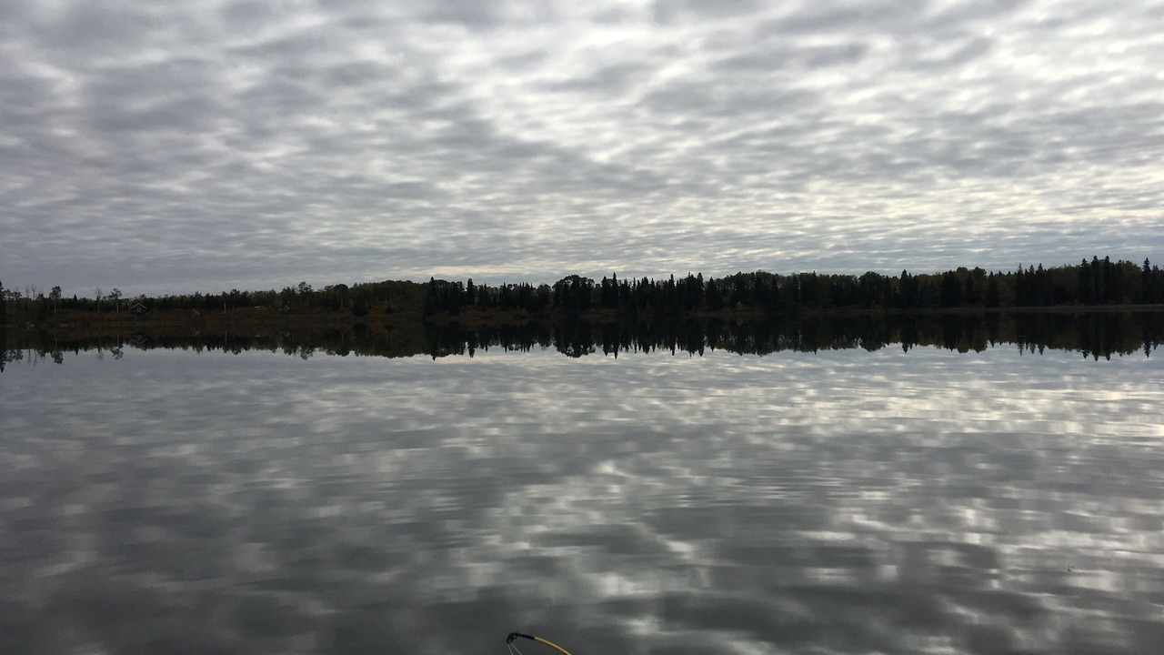 Photo of Others in West Central Saskatchewan