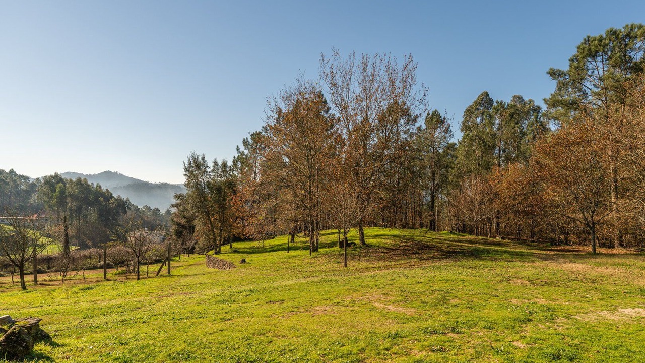 Photo of Others in Ponte de Lima