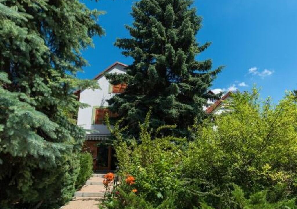 Photo of Outdoor in Balatongyorok