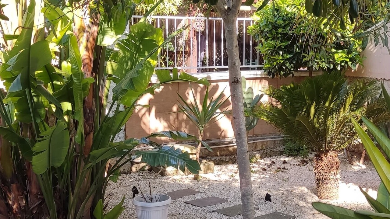 Photo of Outdoor in Lido Silvana