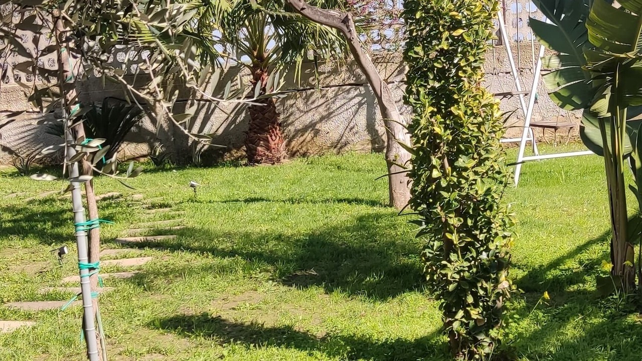 Photo of Outdoor in Lido Silvana