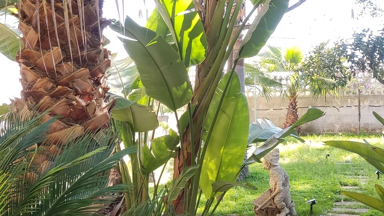 Photo of Outdoor in Lido Silvana