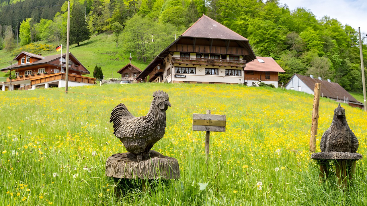 Photo of Outdoor in Wolfach
