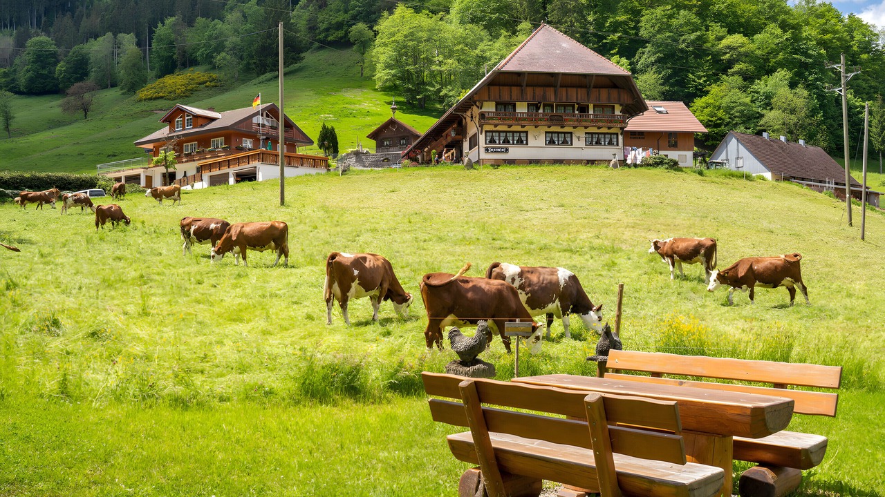 Photo of Outdoor in Wolfach