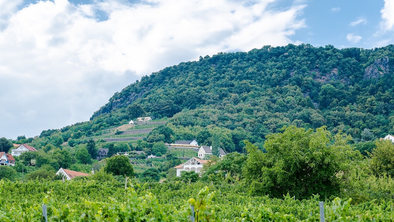 Photo of Outdoor in Taliandorogd