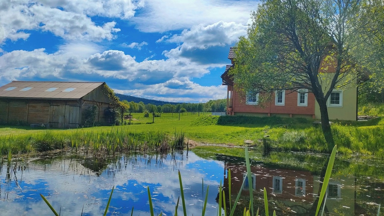 Photo of Outdoor in Stara Kamienica