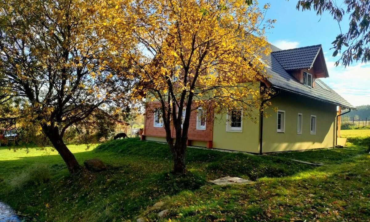 Photo of Outdoor in Stara Kamienica
