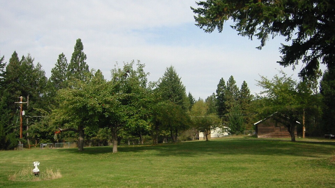 Photo of Others in Woods Bay