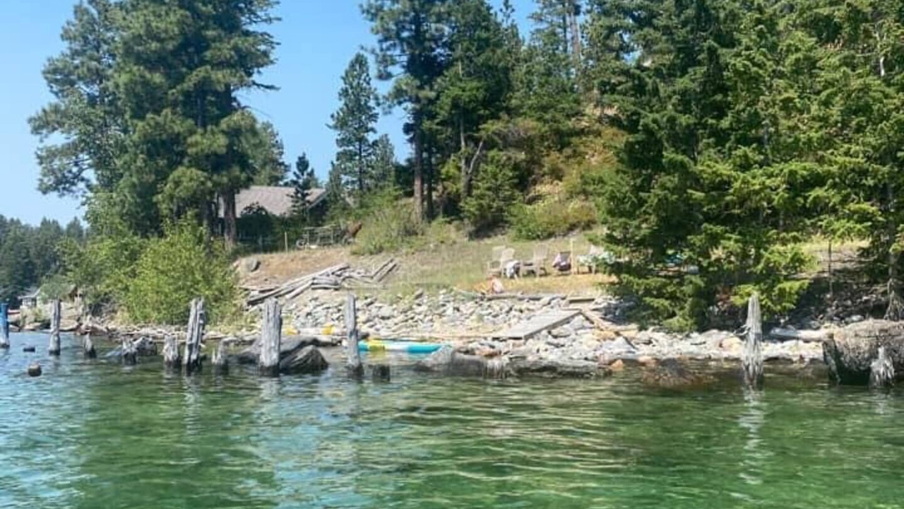 Photo of Others in Woods Bay