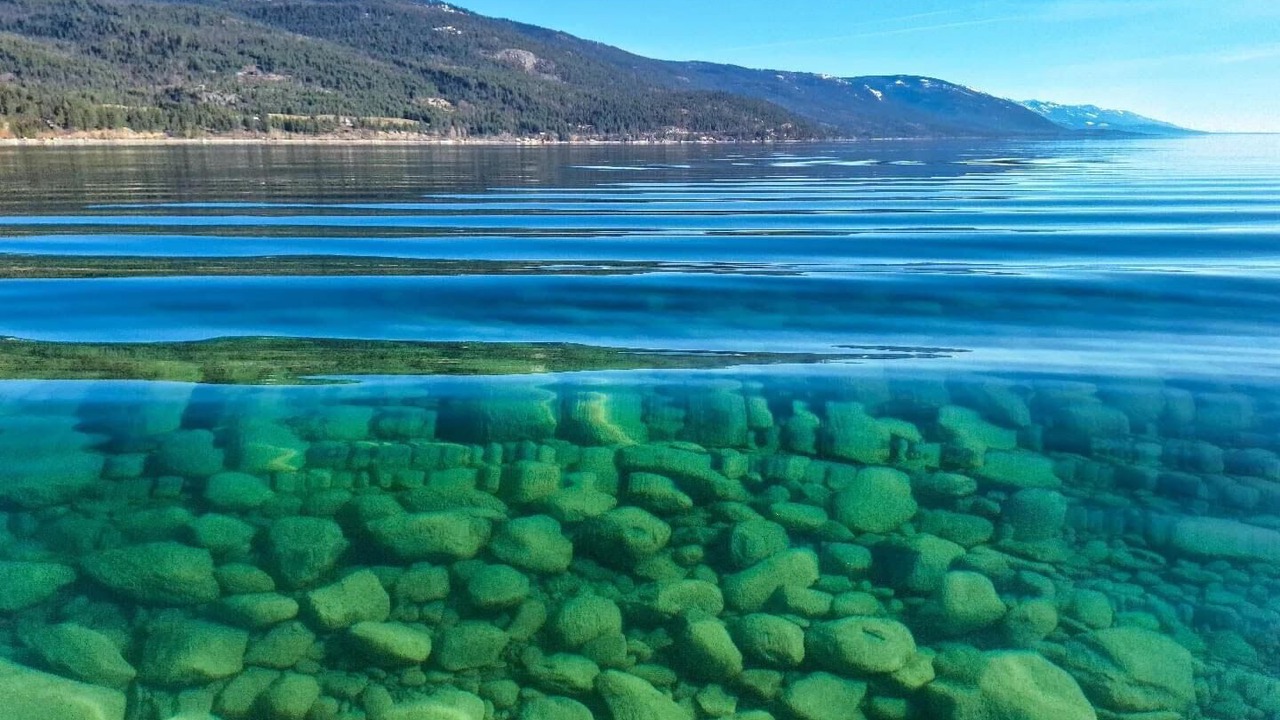 Photo of Outdoor in Woods Bay