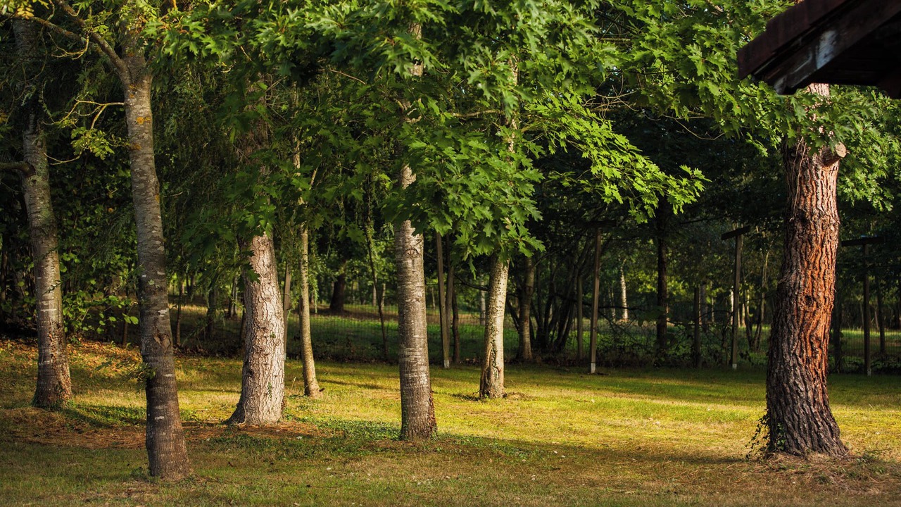 Photo of Outdoor in Amurrio
