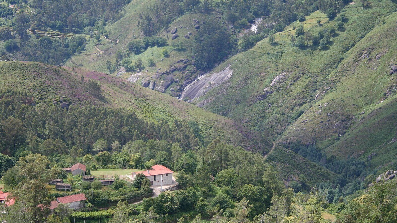 Photo of Others in Carvalheira