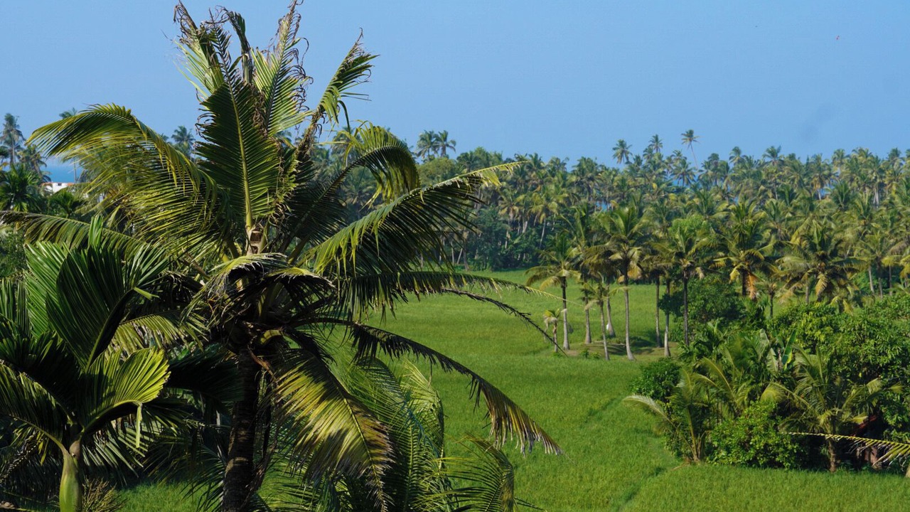 Photo of Others in Varkala