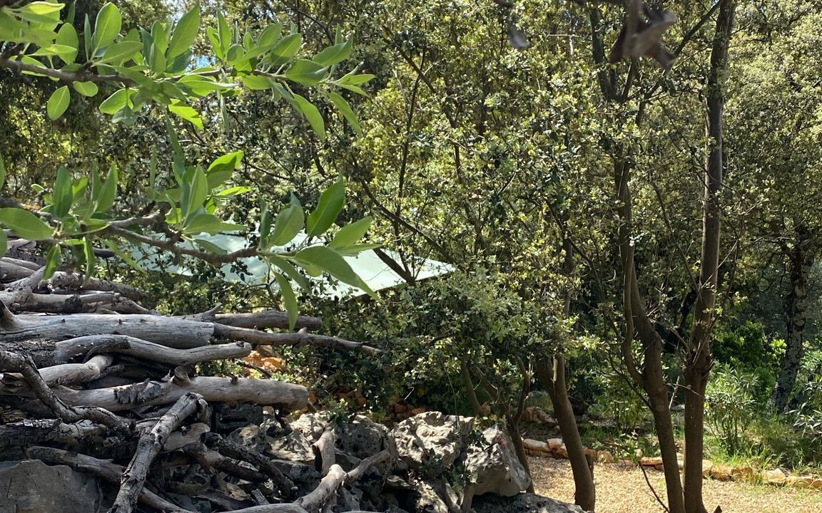 Photo of Outdoor in Entrecasteaux