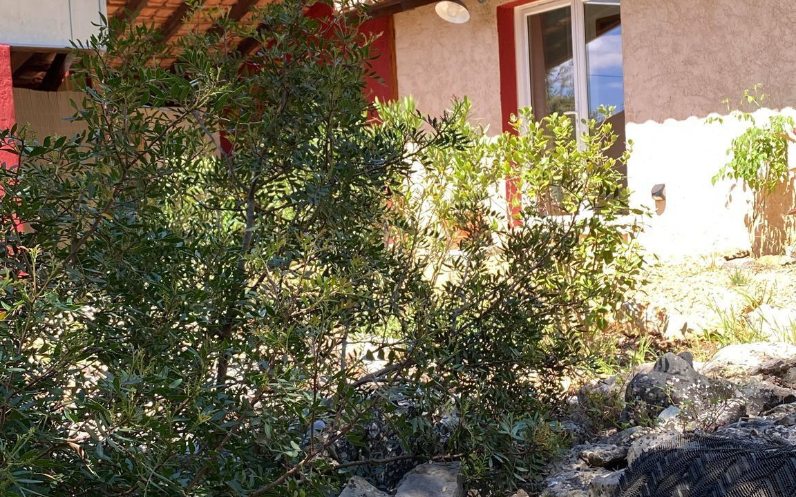 Photo of Outdoor in Entrecasteaux